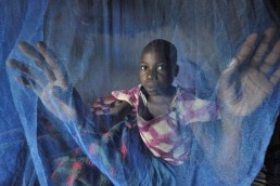 ملاريا "مقاومة للدواء" تهدد الملايين