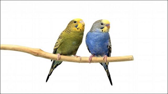 أخبار العلم