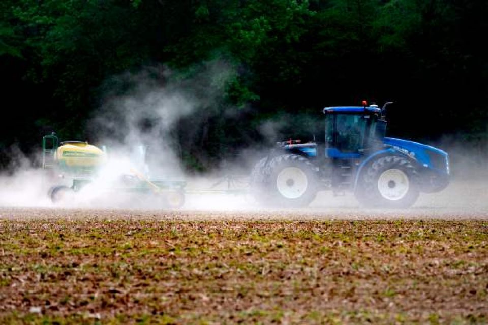 أزمة الغذاء العالمية تضرب الأمريكيين بقسوة