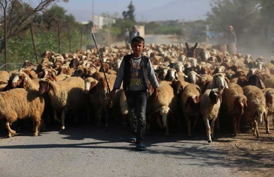 الشخصنة والبحث عن النموذج