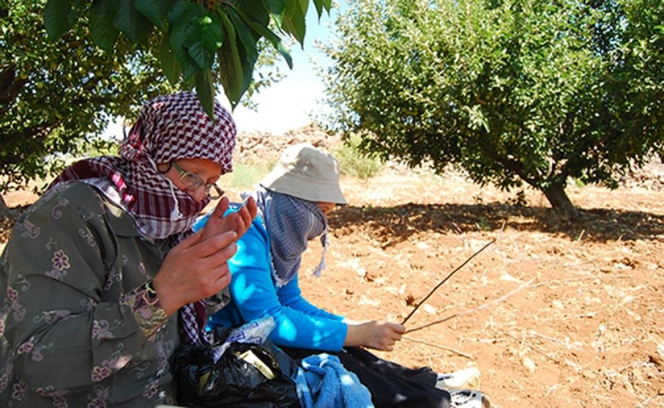 فلاحو الغاب.. هل تنقذهم &laquo;المساعدات&raquo; الجزئية؟