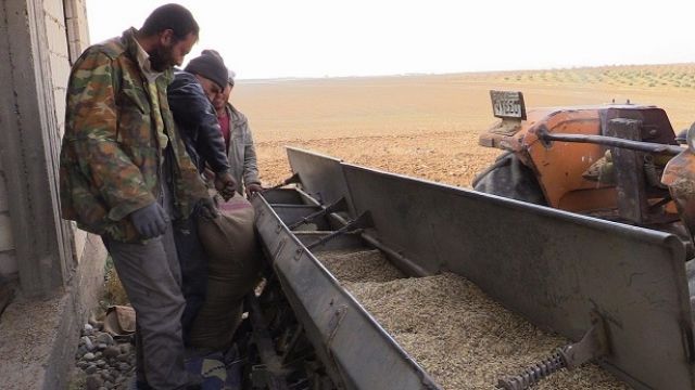 (الفاو) تقرع جرس الإنذار