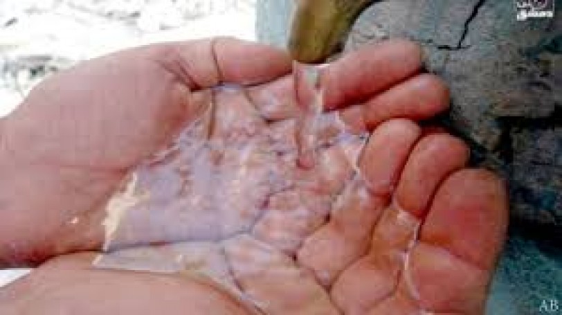 عاصمة الياسمين عطشى