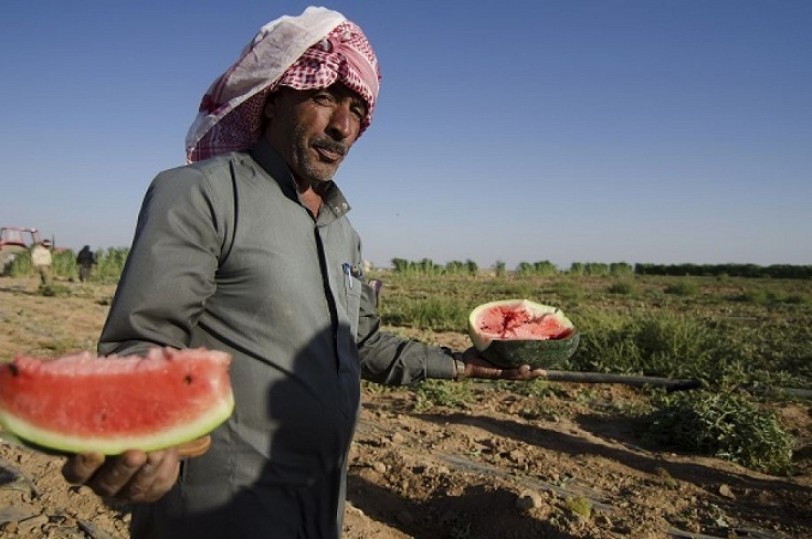 الزراعة السورية.. أزمات اقتصادية-اجتماعية- بيئية