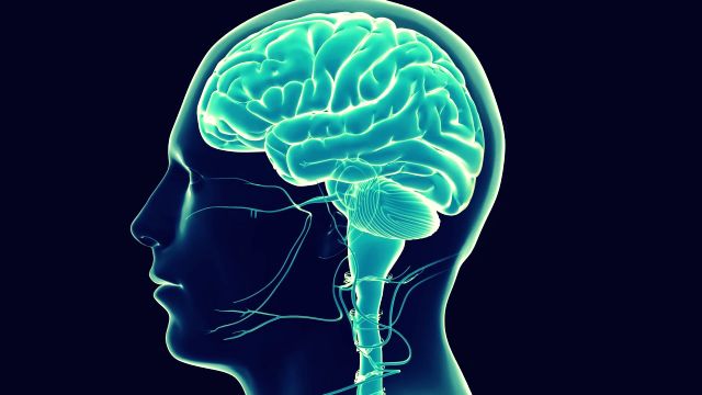 &laquo;الذكاء الاصطناعي وراء هذه التقنية الذي يسمح للكمبيوتر بالتعرف على الشعيرة الدموية وتحذير الجراح&raquo;