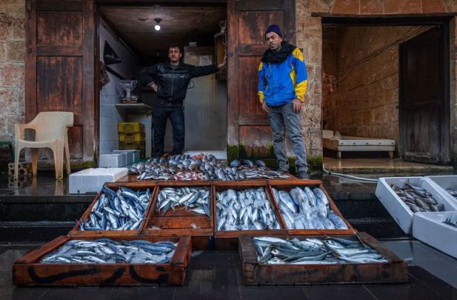 الثروة السمكية في سورية، كنزٌ استراتيجي يغوص في بحر الإهمال الرسمي...