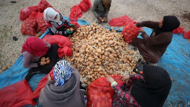 تراجع الإنتاج الزراعي والصناعي المستمر.. والسياسات المدمرة للإنتاج!