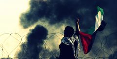 فيديو| الشعوب بترضاش