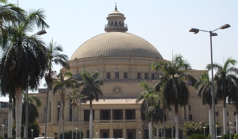 القطعان الهائجة في المدينة