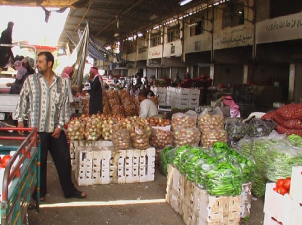 موسم الخضروات في الرقة بين غلاء المستلزمات وانتشار &laquo;الحشرات&raquo;!