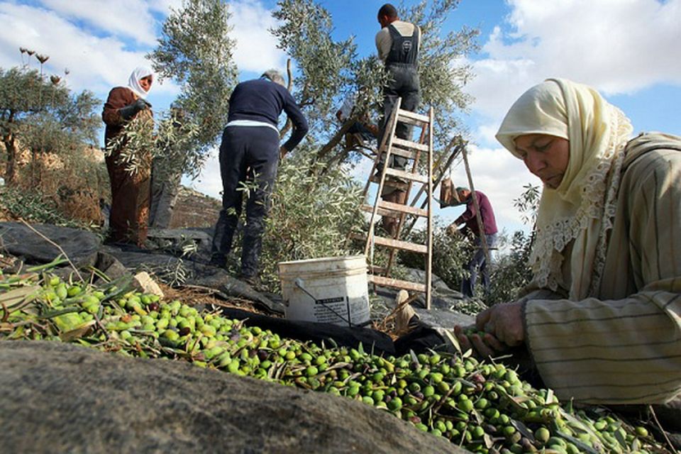 افتتاحية قاسيون: فزاعة التقسيم!