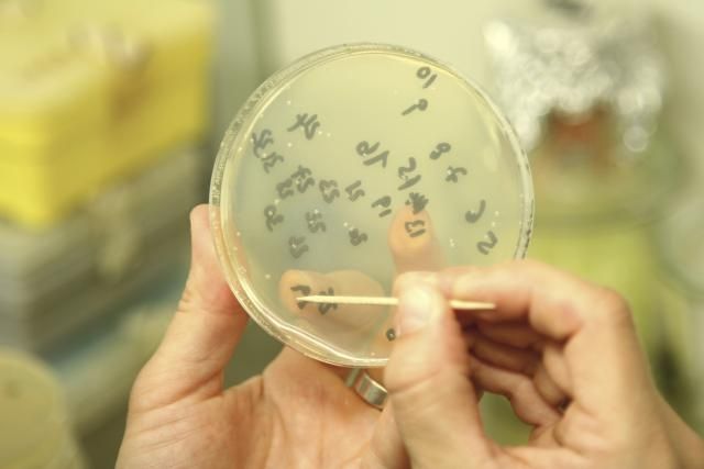 &laquo;القنابل الجينية&raquo;مفرزات العقل العسكري في التنوع الحيوي المحركات الجينية في الأفق