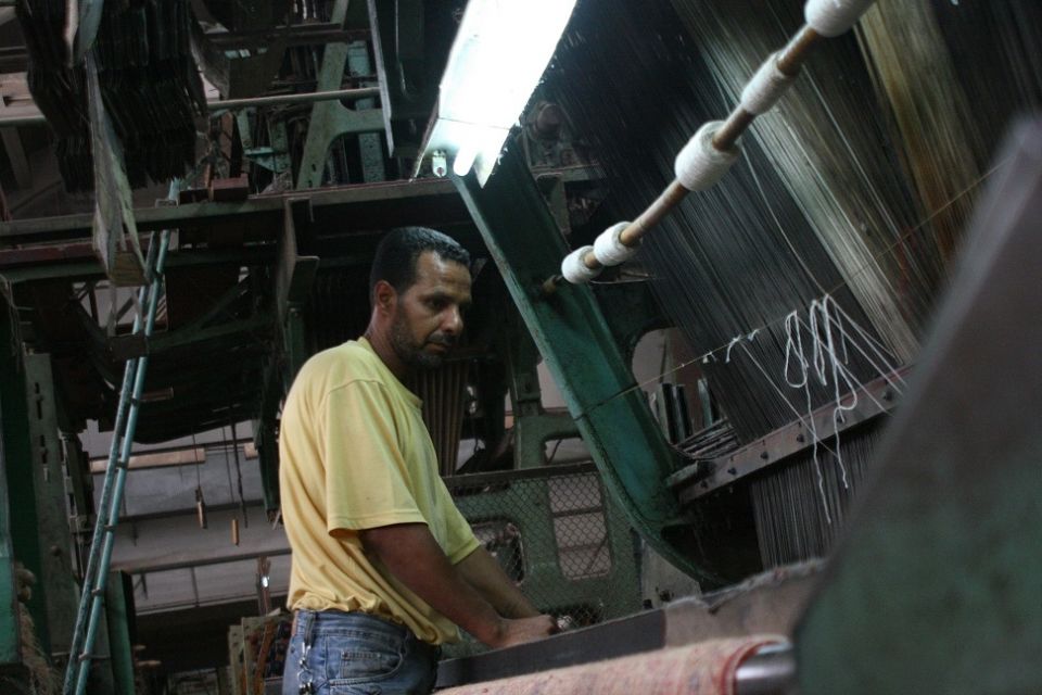 عملية الإنتاج (ماشية) ... بأمعاء خاوية