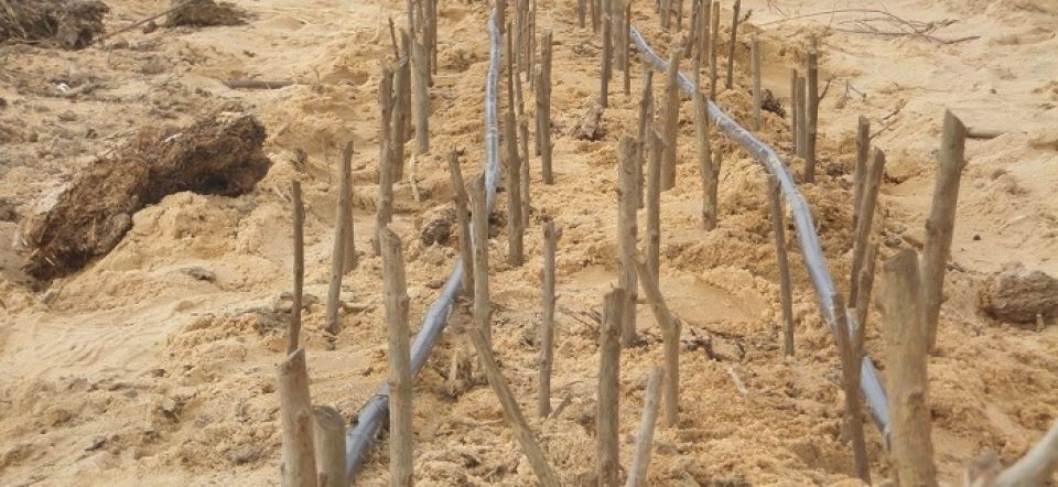 ضربة جديدة للزراعة الحكومة تلغي عقود الإيجار وتشرد الآلاف!