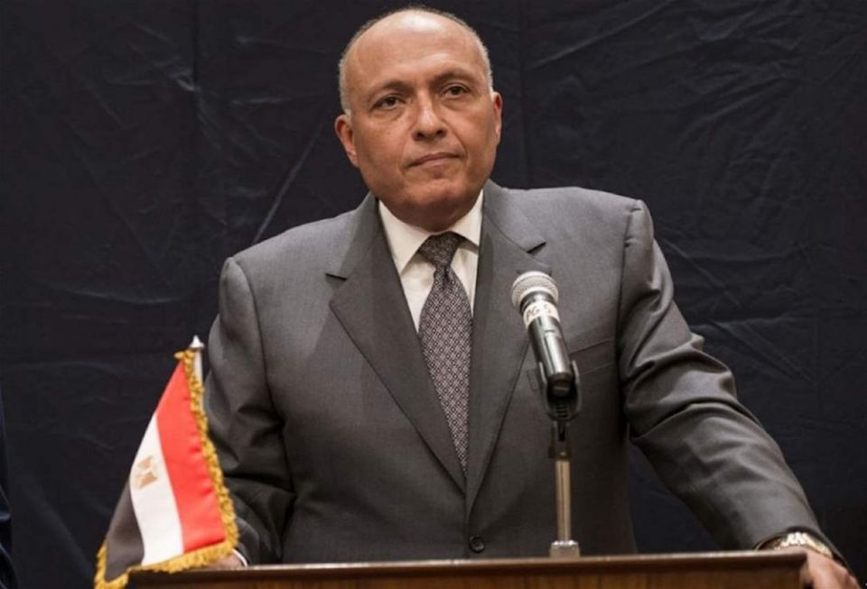 شكري: الشعب الفلسطيني يجب أن يبقى في أرضه