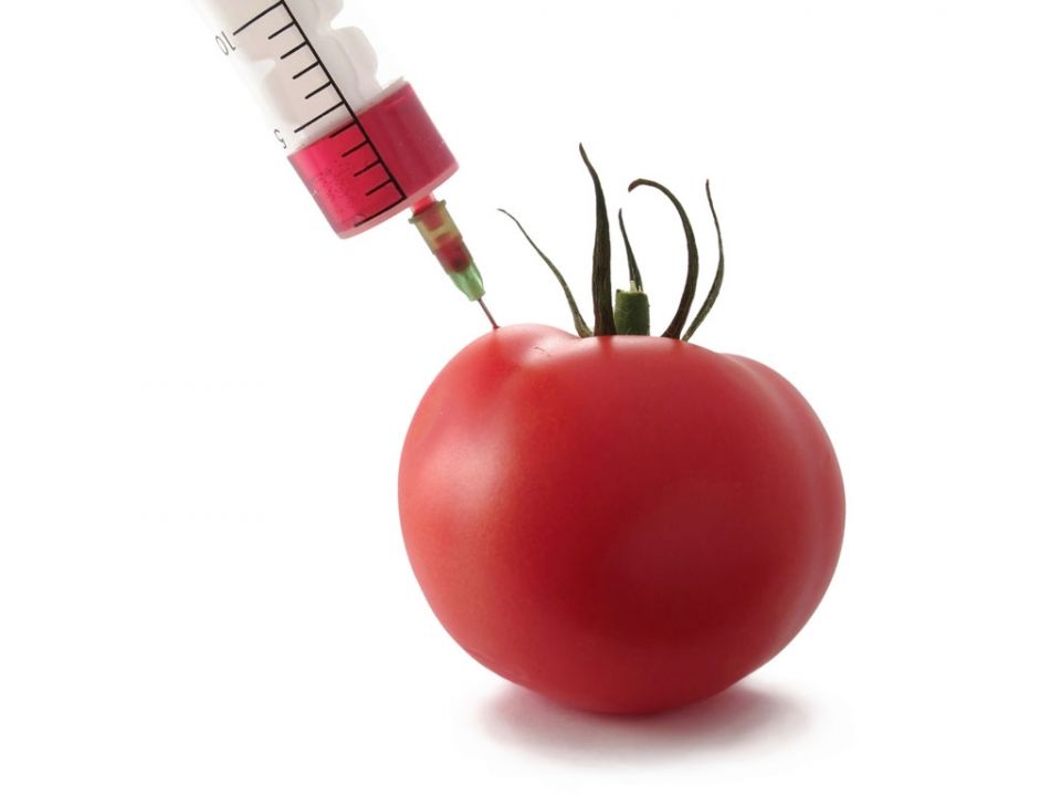 أخبار العلم