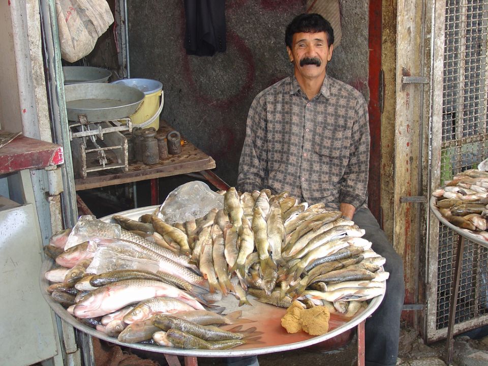 نمو صادرات إيران من الثروة السمكية نحو 60 بالمئة