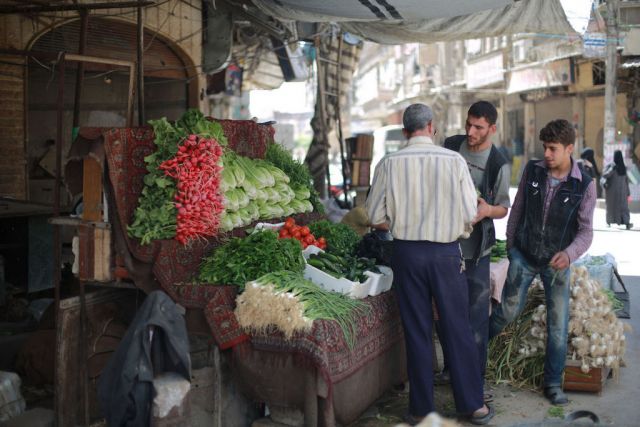 ضمير الحكومة... وسلاحف النينجا