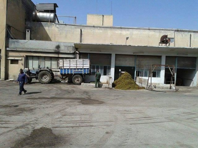 الشركة السورية لتصنيع العنب &laquo;الريان&raquo; في السويداء