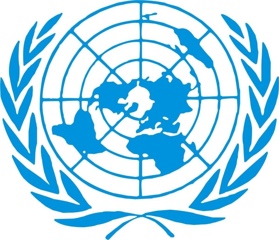 الجمعية العامة للأمم المتحدة في مؤتمرها الـ 67