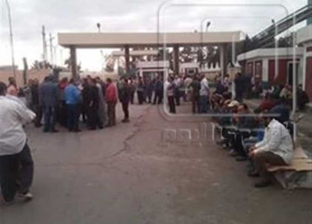 الطبقة العاملة