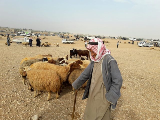 شرائح إلكترونية من جيب المواطن والخزينة