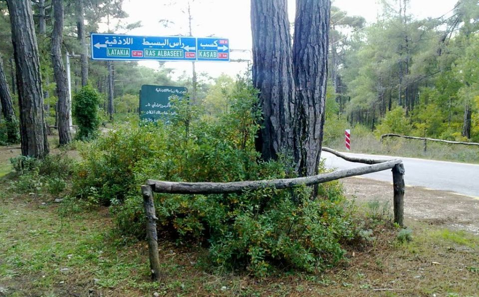 كارثة بيئية كبرى في &laquo;غابات&raquo; اللاذقية