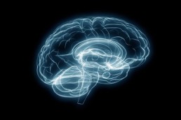 زلات الذاكرة مرتبطة بالجلطة بين المتعلمين