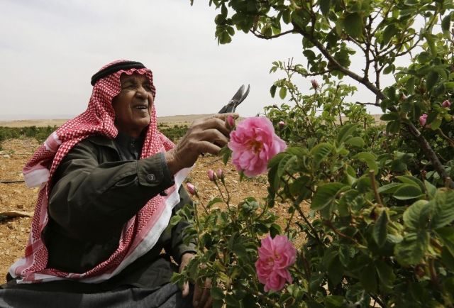 ثمن  السُّكر الذي تأكلون