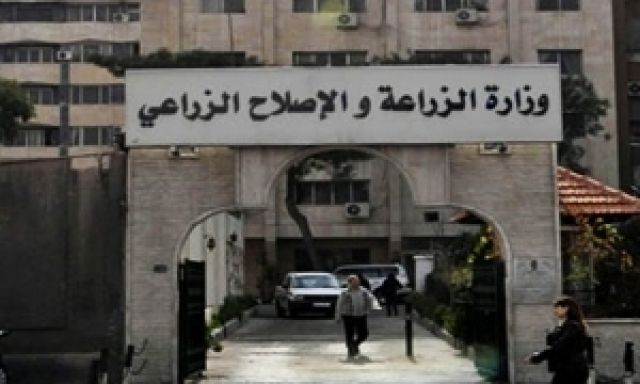الفلاحون يزرعون والعصابات تنهب