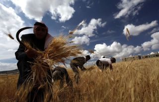 حين يتحول القرار الحكومي إلى أداة خنق للفلاح واغتيال للأمن الغذائي!