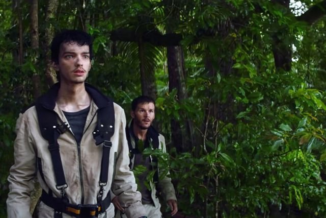 حرائق الغابات في تحذير سينمائي!