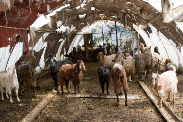 الاستنزاف الممنهج للقطاع الإنتاجي الوطني