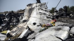 اتفاق يسمح للإنتربول بالوصول «للماليزية»