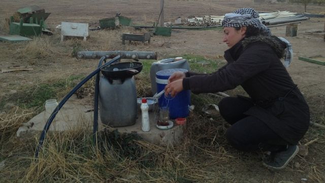 الماء والكهرباء وربات البيوت