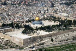 الاشتراكية الدولية تصدر قرارا بالاعتراف غير المشروط بدولة فلسطين