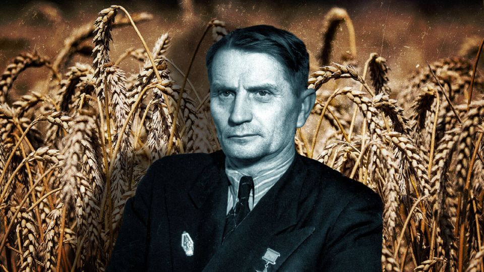 ليسنكو وفافيلوف (2) - هل دمَّرت أبحاث ليسنكو الزراعة السوفييتية؟