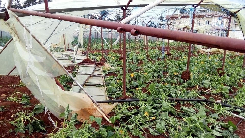 خسائر جسيمة وتعويضات متفاوتة وهزيلة