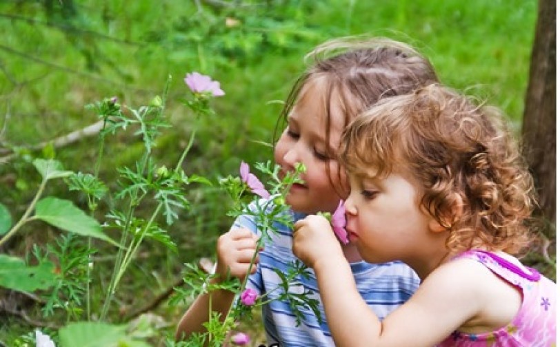 دراسة: البشر يستشعرون 10 أنواع رئيسية من الروائح