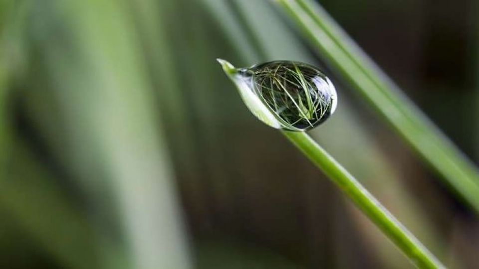 &laquo;قنبلة موقوتة&raquo; تهدد الأجيال القادمة