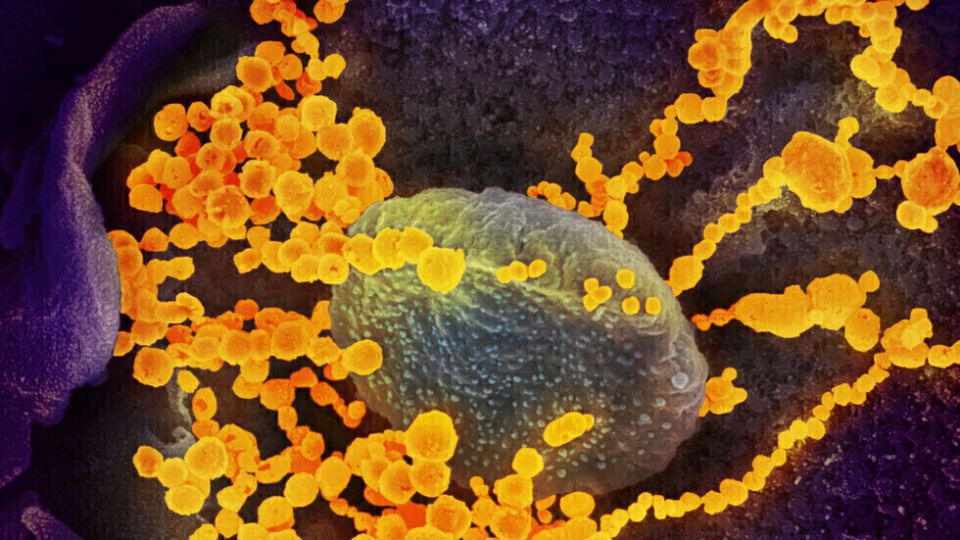 الصورة عالمياً