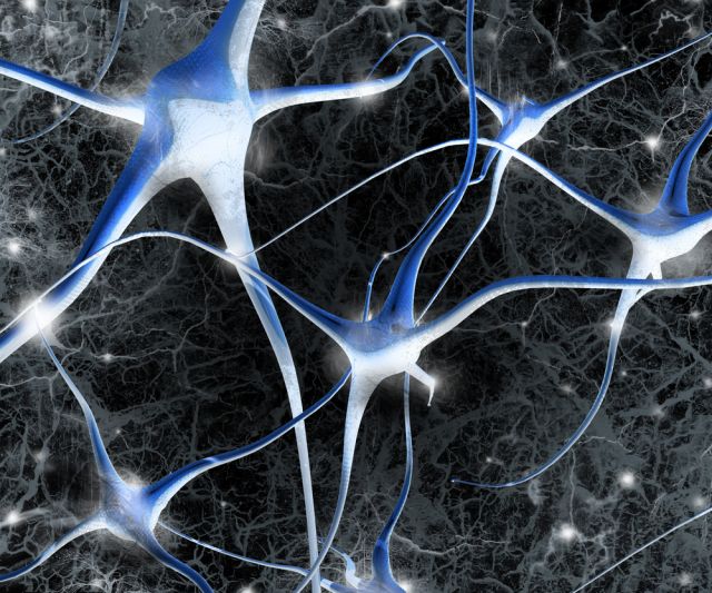 إنتاج خلايا الذاكرة يتوقّف عند الـ13 سنة