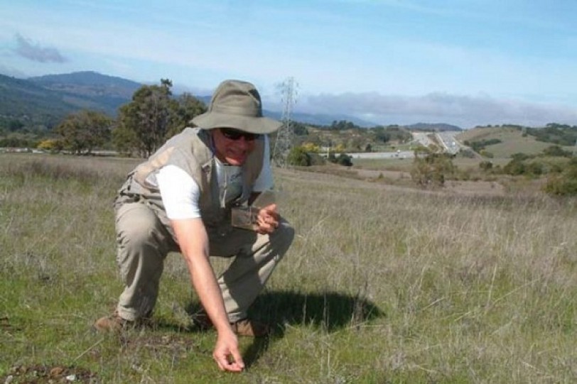 على وجه المستنقع