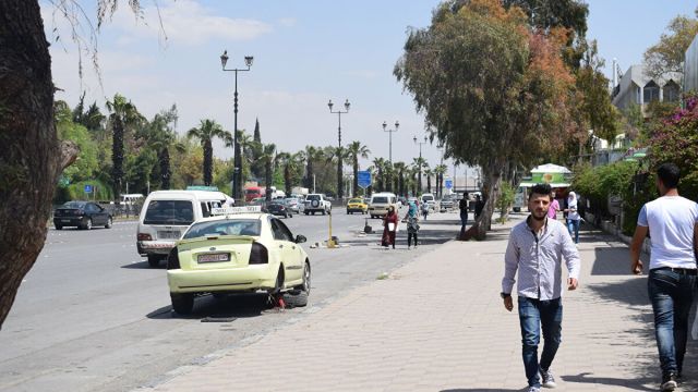 هل تشفع وزارة الزراعة لما تبقّى من غطاء نباتي في دمشق؟