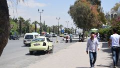 هل تشفع وزارة الزراعة لما تبقّى من غطاء نباتي في دمشق؟