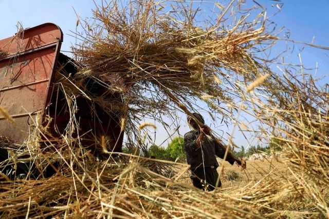 &laquo;بدايات&raquo; معلوف و&laquo;نهايات&raquo; منيف على طاولة واحدة!