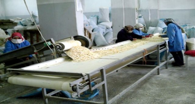 عمال تجفيف البصل سنواتٌ من العطاء رغم قسوة الظروف