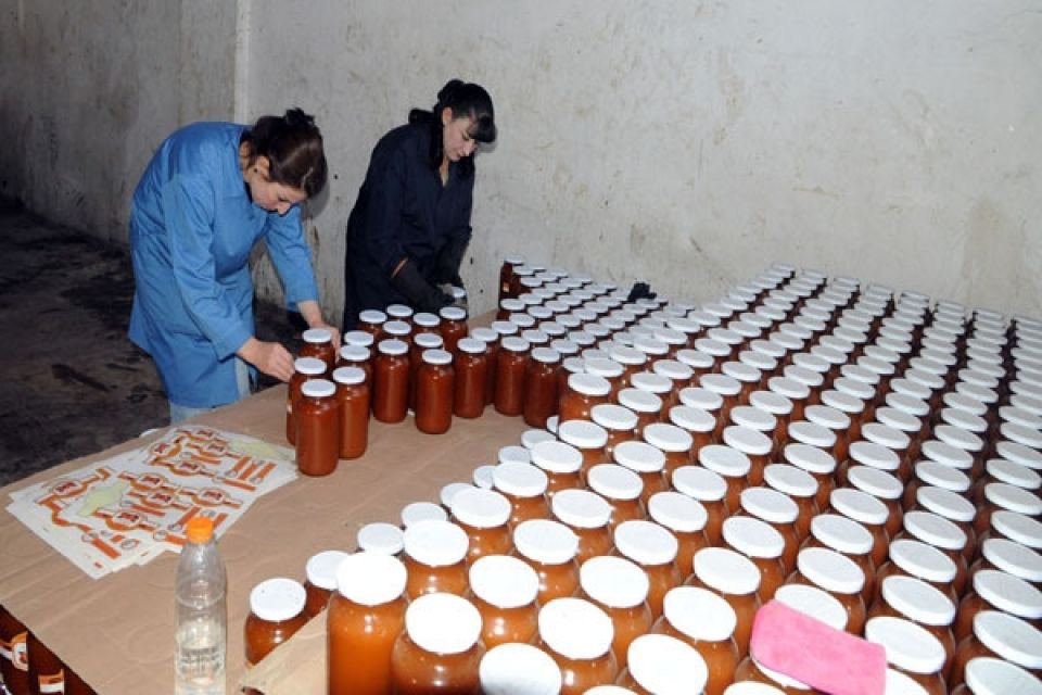 القطاع غير المنظم.. بوابة للاستغلال