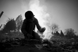 نحن وأشجارنا... المبادة