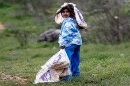 دمشق توافق على خطة المساعدات الإنسانية الدولية لـ 2015